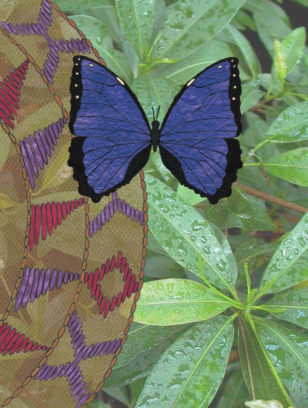 bluemorpho